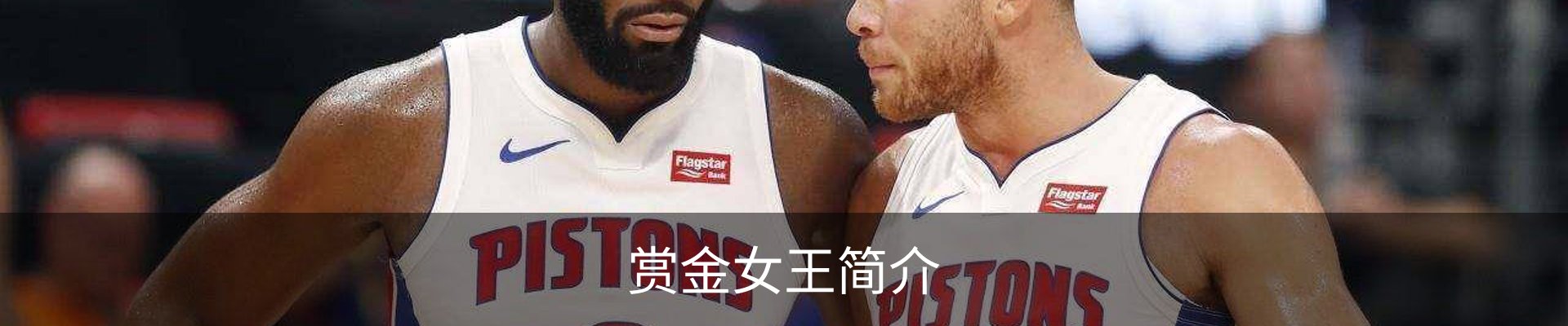 赏金女王简介